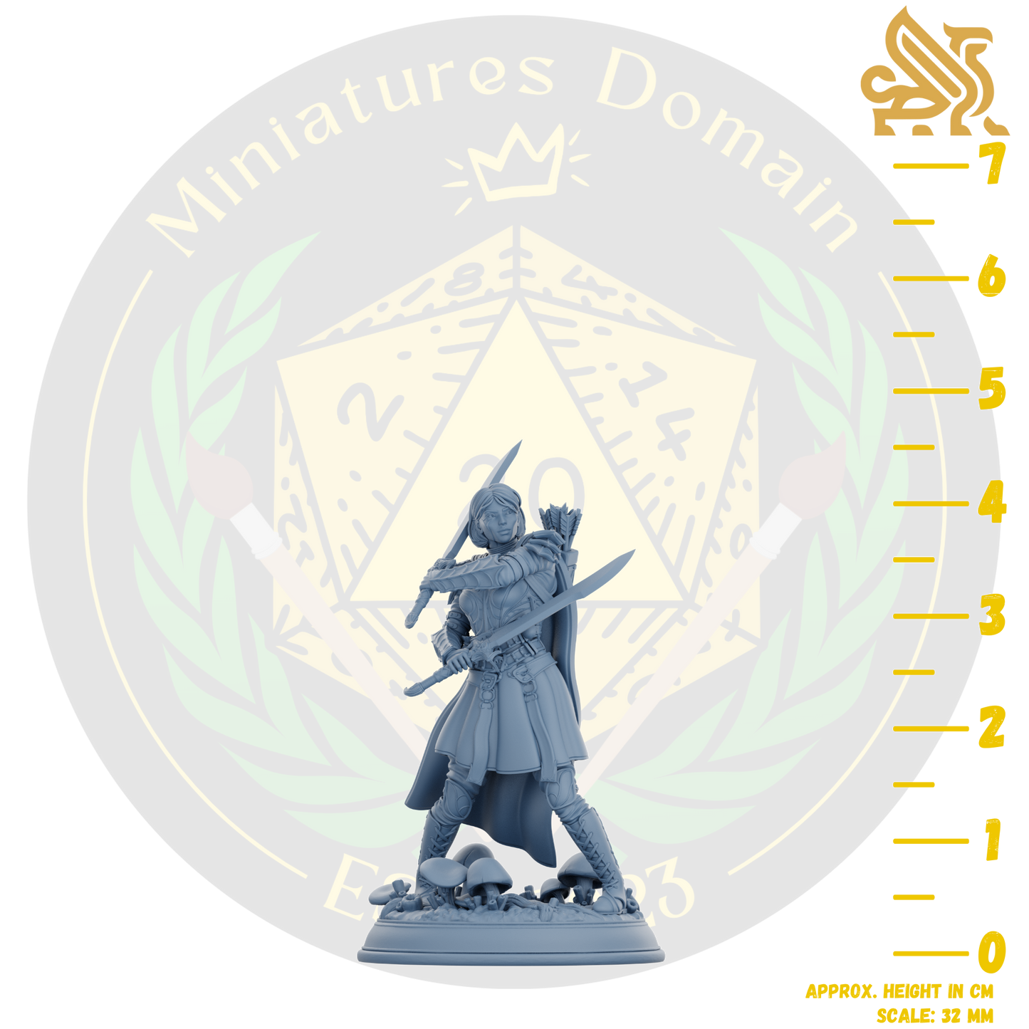 Drow soldier with swords