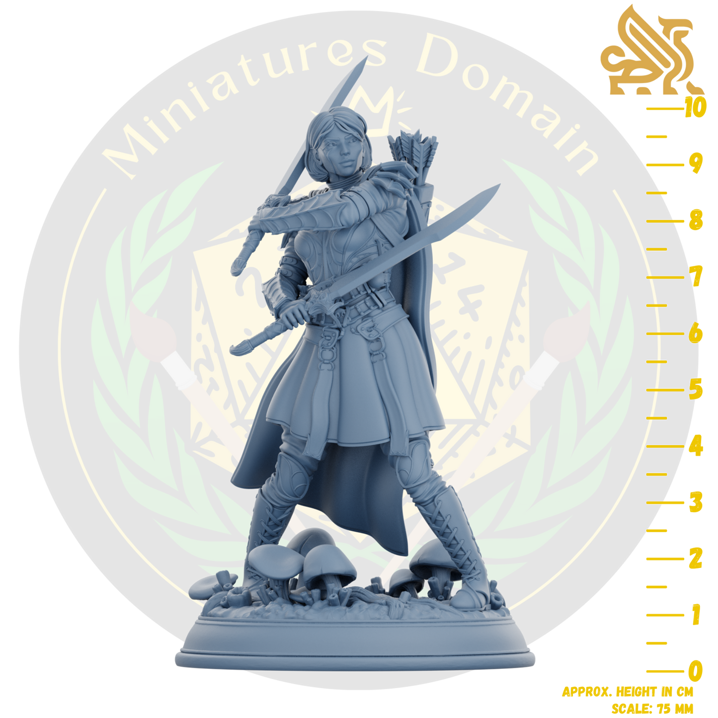 Drow soldier with swords