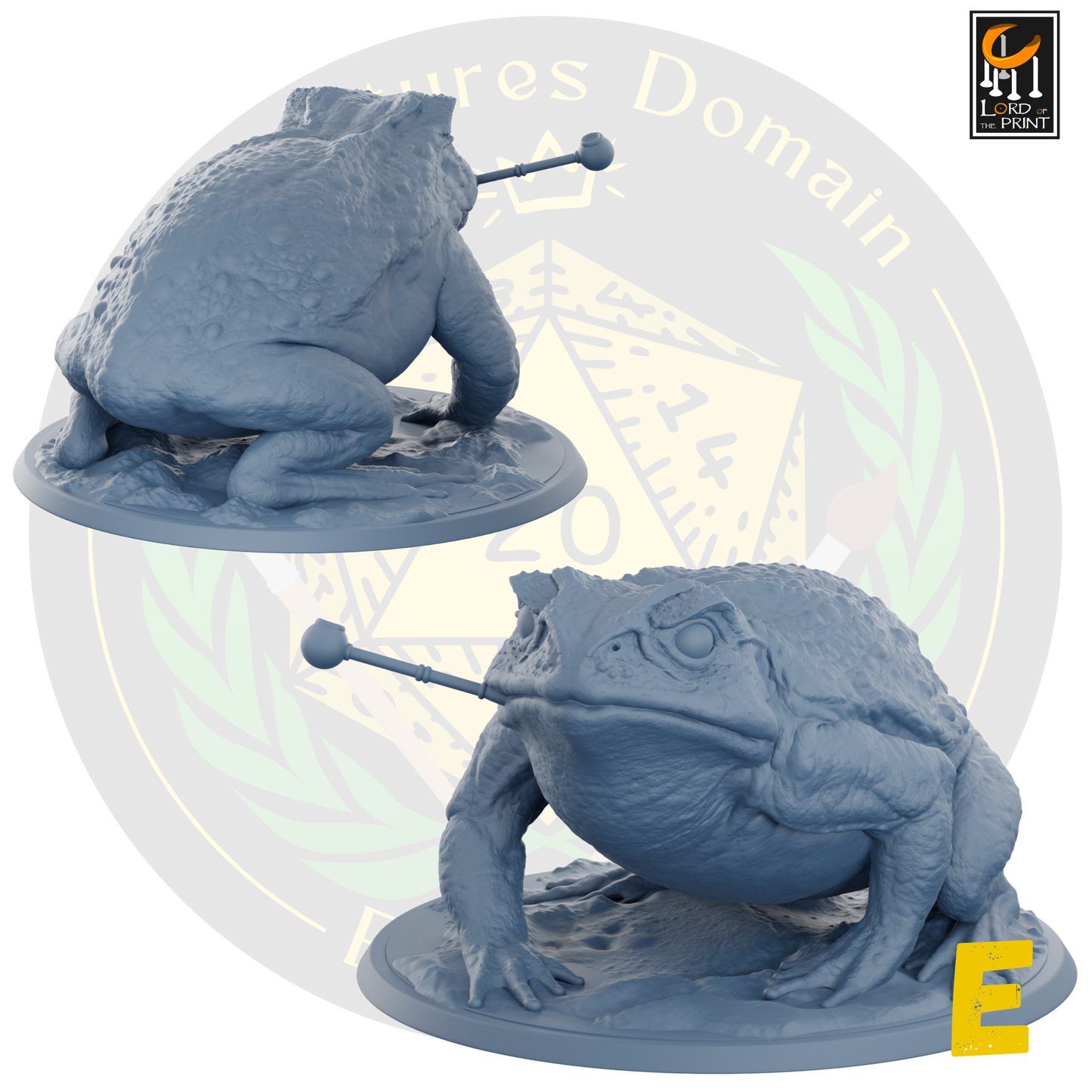 Toad