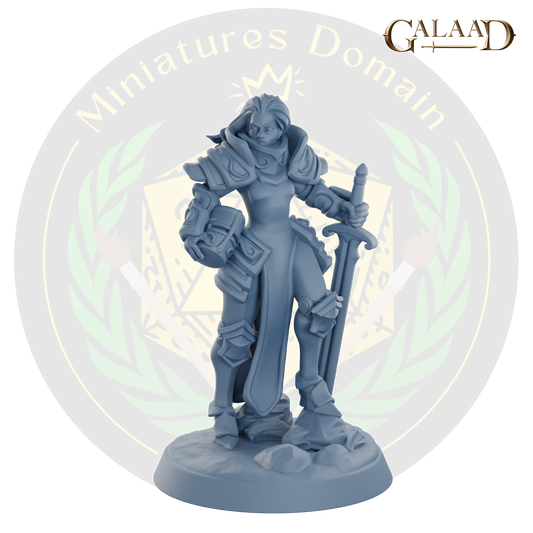 Guard Captain