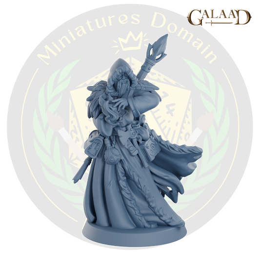 Northern Wizard